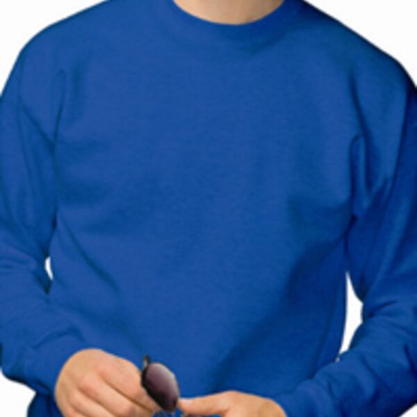 Crew Neck Sweatshirt -STARS AND STRIPES Thumbnail