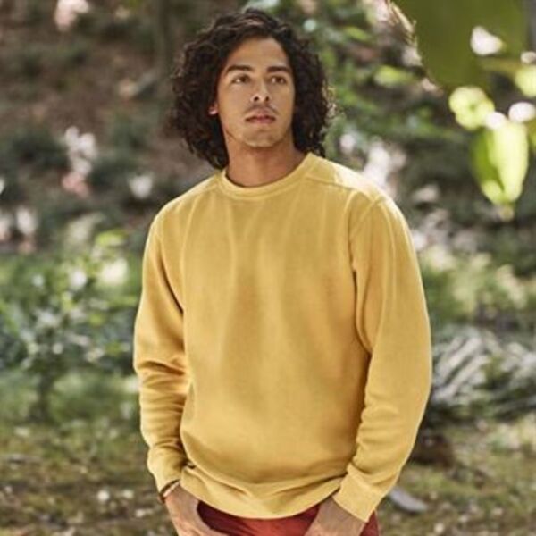 Adult crew neck sweatshirt Thumbnail